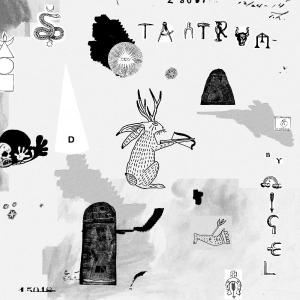 Nigel - Tantrum i gruppen CD / Pop-Rock hos Bengans Skivbutik AB (3840219)