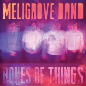 Meligrove Band - Bones Of Things i gruppen VINYL / Rock hos Bengans Skivbutik AB (3841043)