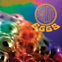 Otakusuite - Black Flower i gruppen CD hos Bengans Skivbutik AB (3841173)