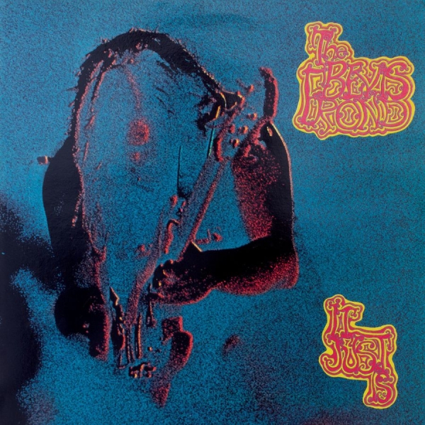 Bevis Frond The - It Just Is i gruppen VINYL / Toppselgere hos Bengans Skivbutik AB (3842177)