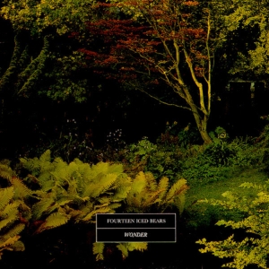 14 ICED BEARS - WONDER i gruppen Annet /  hos Bengans Skivbutik AB (3842191)