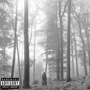 Taylor Swift - Folklore i gruppen CD hos Bengans Skivbutik AB (3842674)