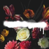 Grande Roses - Built On Schemes Cd i gruppen -Start CD hos Bengans Skivbutik AB (3843556)
