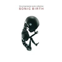 Progressive Souls Collective The - Sonic Birth i gruppen CD hos Bengans Skivbutik AB (3843770)