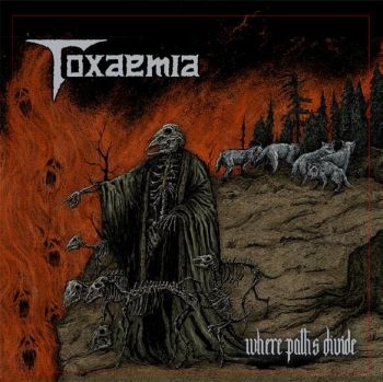 Toxaemia - Where Paths Divide i gruppen CD / Toppselgere hos Bengans Skivbutik AB (3844225)