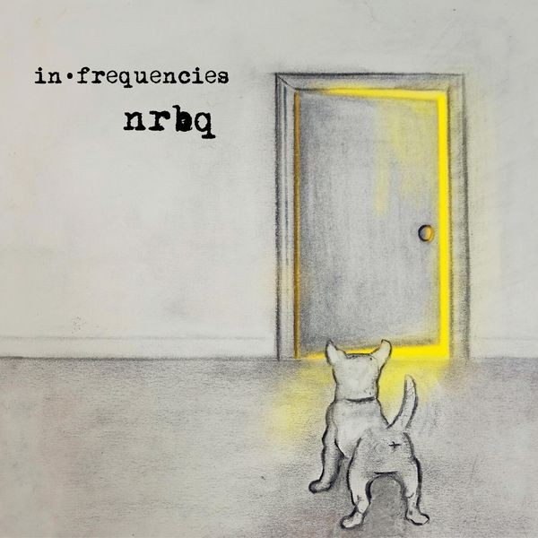 NRBQ - In Frequencies i gruppen CD / Rock hos Bengans Skivbutik AB (3844466)