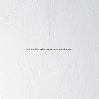 Prairie - And The Bird Said: Cut Me Open And i gruppen VINYL / Rock hos Bengans Skivbutik AB (3846184)