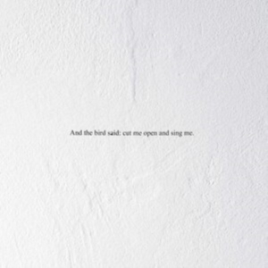 Prairie - And The Bird Said: Cut Me Open And i gruppen VINYL hos Bengans Skivbutik AB (3846185)