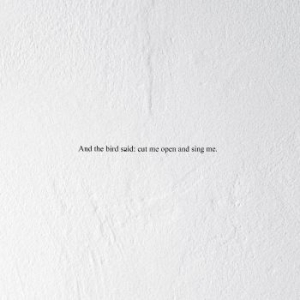 Prairie - And The Bird Said.. i gruppen Labels / Woah Dad / Dold_tillfall hos Bengans Skivbutik AB (3846212)