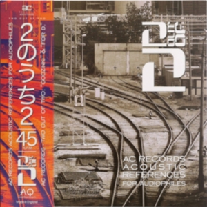 CZERWINSKIADAM KRZESIMIR DEBSKI WOJCI - Two Out Of Two: Acoustic References For  i gruppen VINYL hos Bengans Skivbutik AB (3846338)