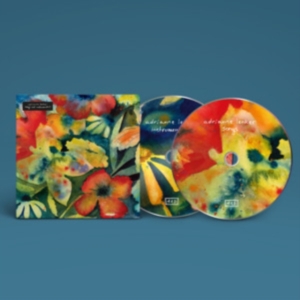 Lenker Adrianne - Songs And Instrumentals i gruppen VI TIPSER / Årsbestelistor 2020 / Pitchfork 2020 hos Bengans Skivbutik AB (3860757)