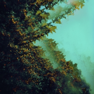 Polymoon - Caterpillars Of Creation i gruppen VINYL / Pop-Rock hos Bengans Skivbutik AB (3866647)