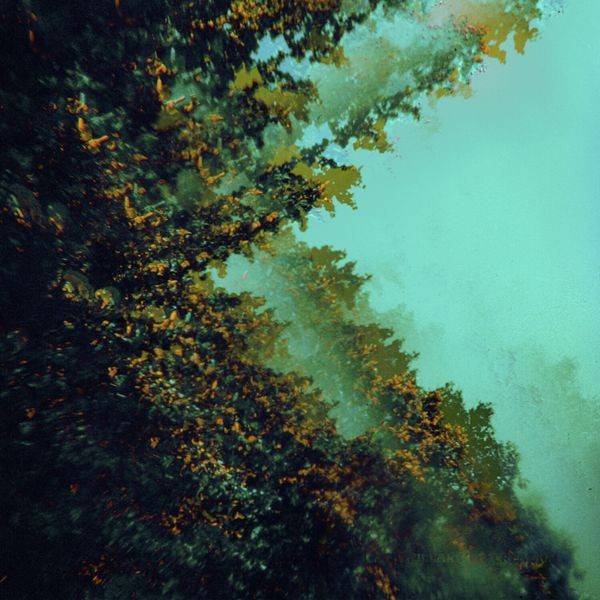 Polymoon - Caterpillars Of Creation i gruppen CD / Rock hos Bengans Skivbutik AB (3866651)