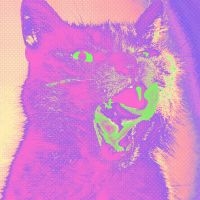 Teenanger - Good Time i gruppen VINYL hos Bengans Skivbutik AB (3894427)