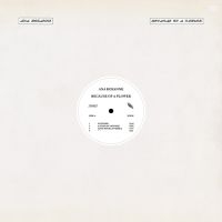 Roxanne Ana - Because Of A Flower i gruppen CD hos Bengans Skivbutik AB (3901187)