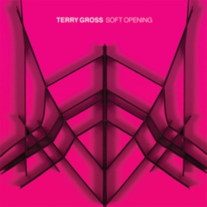 Gross Terry - Soft Opening i gruppen VINYL / Pop-Rock hos Bengans Skivbutik AB (3902049)