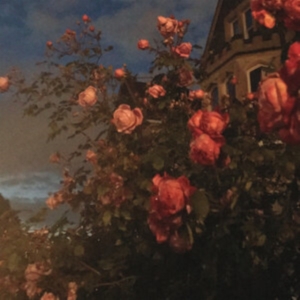 Bence John - Love (Blood Orange Vinyl) i gruppen VINYL / Rock hos Bengans Skivbutik AB (3902050)