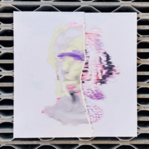 Denial Of Service - False Postives (Handmade Sleeve) i gruppen VINYL / Pop-Rock hos Bengans Skivbutik AB (3905162)