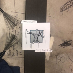 Suburban Cracked Collective - Swimming Amongst The Dregs i gruppen VINYL / Pop-Rock hos Bengans Skivbutik AB (3905164)