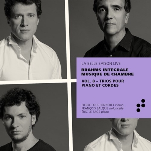 Brahms Johannes - Intégrale Musique De Chambre, Vol. i gruppen Externt_Lager / Naxoslager hos Bengans Skivbutik AB (3907435)