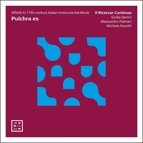 Various - Pulchra Es - Affetti In 17Th Centur i gruppen Externt_Lager / Naxoslager hos Bengans Skivbutik AB (3907439)