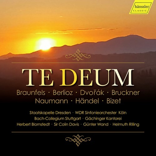 Various - Te Deum (4Cd) i gruppen CD hos Bengans Skivbutik AB (3910168)