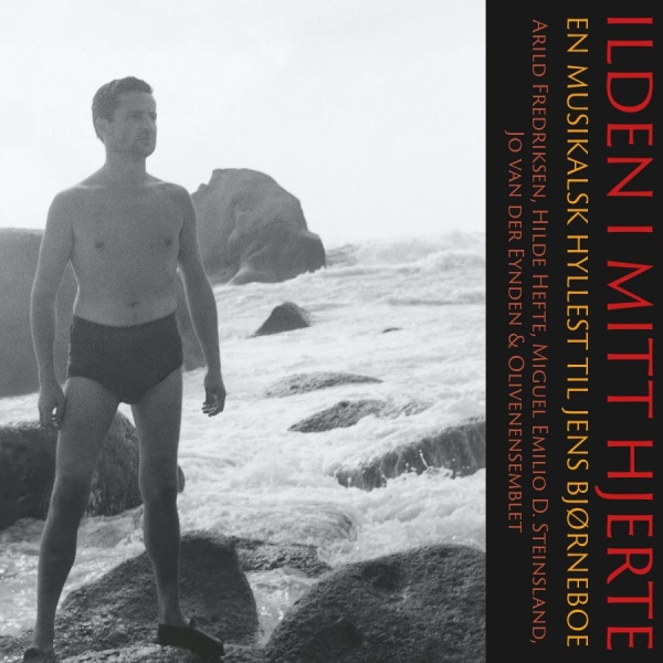 Various Artists - Illden I Mitt Hjerte i gruppen CD / Toppselgere hos Bengans Skivbutik AB (3913721)