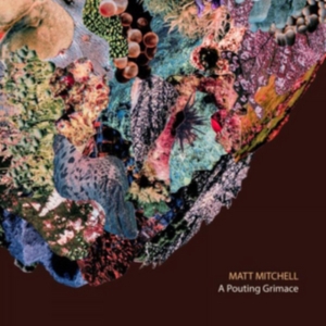 Mitchell Matt - A Pouting Grimace i gruppen Annet /  hos Bengans Skivbutik AB (3914284)