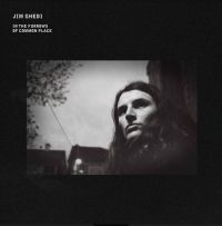 GHEDI JIM - IN THE FURROWS OF COMMON PLACE i gruppen VINYL hos Bengans Skivbutik AB (3915310)
