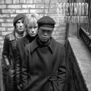 Beechwood - Inside The Flesh Hotel (Splatter Vi i gruppen VINYL / Pop-Rock hos Bengans Skivbutik AB (3918759)