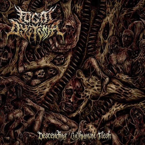 Focal Dystonia - Descending (In)Human Flesh i gruppen Annet /  hos Bengans Skivbutik AB (3919505)