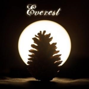 Everest - Ghost Notes i gruppen CD / Pop-Rock hos Bengans Skivbutik AB (3920102)