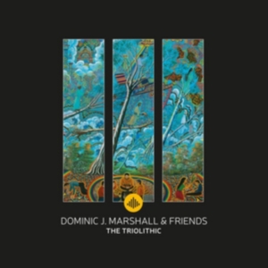 Dominic J. Marshall - Triolithic i gruppen CD / Jazz hos Bengans Skivbutik AB (3920918)