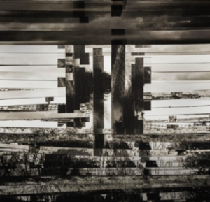 Barst - Western Lands i gruppen CD / Ambient,Dance-Techno hos Bengans Skivbutik AB (3921139)