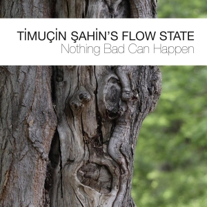 Timucin Sahin's Flow Stat - Nothing Bad Can Happen i gruppen CD hos Bengans Skivbutik AB (3922394)