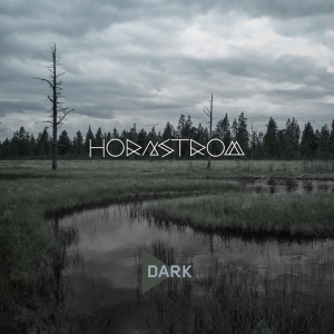 Hornstrom - Dark i gruppen CD hos Bengans Skivbutik AB (3922395)
