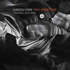Jungsu -Tiny Orkester- Choi - Tschuss Jazz Era i gruppen CD hos Bengans Skivbutik AB (3922941)