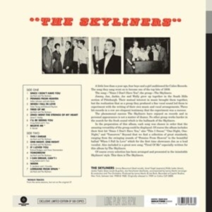 Skylyners - Skylyners i gruppen VINYL / Pop-Rock hos Bengans Skivbutik AB (3923459)