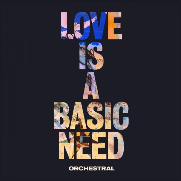 Embrace - Love Is A Basic Need (Orchestral) i gruppen VINYL / Toppselgere hos Bengans Skivbutik AB (3923494)