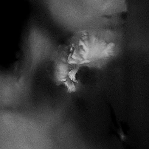Holding Absence - Holding Absence i gruppen CD / Metal/ Heavy metal hos Bengans Skivbutik AB (3925175)