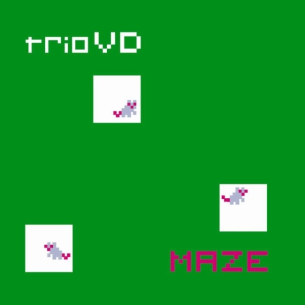 Triovd - Maze i gruppen CD / Jazz/Blues hos Bengans Skivbutik AB (3925459)