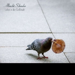 Albrecht Schrader - Leben In Der Grossstadt i gruppen VINYL / Pop-Rock,Annet hos Bengans Skivbutik AB (3925815)
