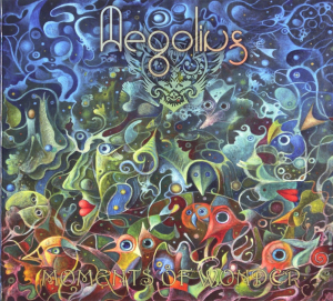 Aegolius - Moments Of Wonder i gruppen CD hos Bengans Skivbutik AB (3926115)