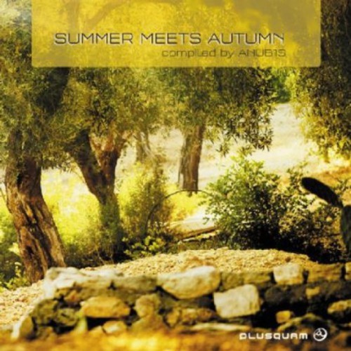 V/A - Summer Meets Autumn i gruppen CD / Dans/Techno hos Bengans Skivbutik AB (3926988)