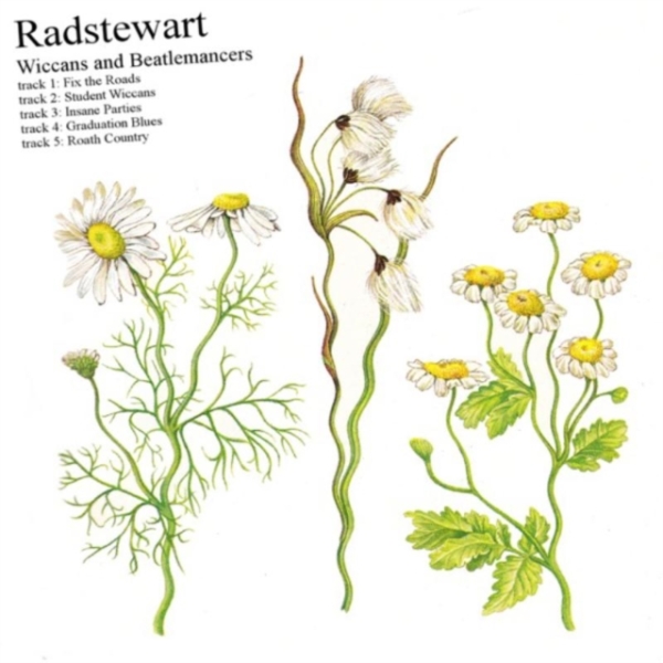 Radstewart - Wiccans & Beatlemancers.. i gruppen CD / Toppselgere hos Bengans Skivbutik AB (3927892)