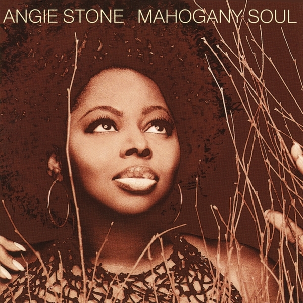 Angie Stone - Mahogany Soul i gruppen CD / RNB, Disco & Soul hos Bengans Skivbutik AB (3928363)