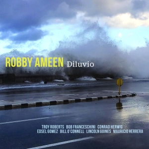 Robby Ameen - Diluvio i gruppen CD hos Bengans Skivbutik AB (3928524)