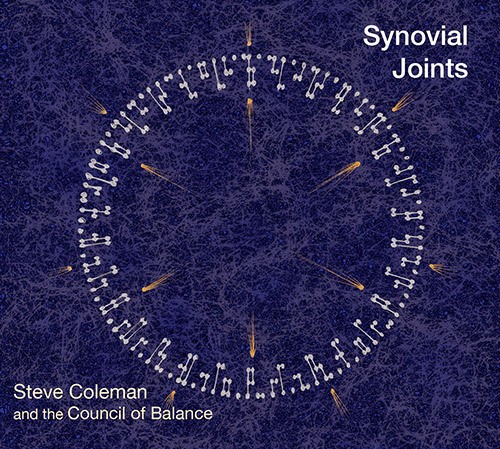 Coleman Steve & The Council Of Balance's - Synovial Joints i gruppen CD / Jazz/Blues hos Bengans Skivbutik AB (3928940)