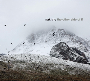 Nak Trio - Other Side Of If i gruppen CD hos Bengans Skivbutik AB (3928949)