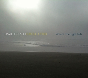 David -Circle 3 Trio- Friesen - Where The Lights Fall i gruppen CD hos Bengans Skivbutik AB (3929638)
